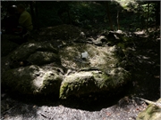 2011-08-21 Teufelsschlucht24